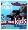 SKOUT: Blueberry Blast Kids Bar, 5.1 oz